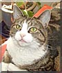 Artemis