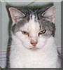 Oscar