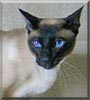 Cleo