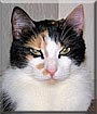 Serafina