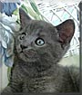 Charley