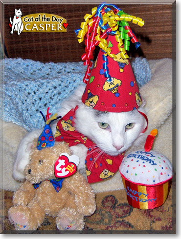 Casper, the Cat of the Day