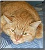 Garfield