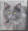Merlin
