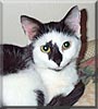 Elsie