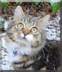 Tim