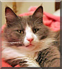 Albert