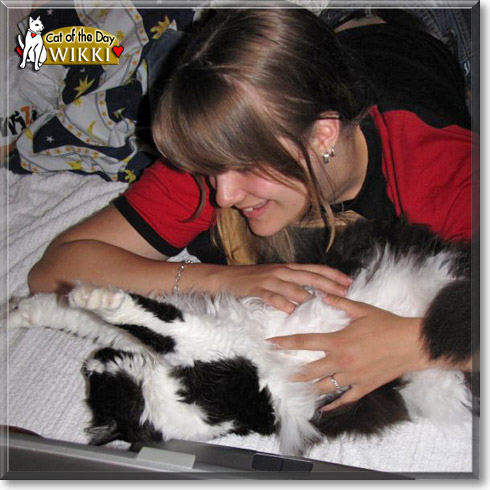 Wikki, the Cat of the Day