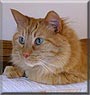 Rufus