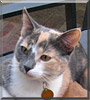 Milly