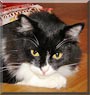 Ozzy
