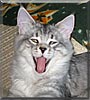 Max
