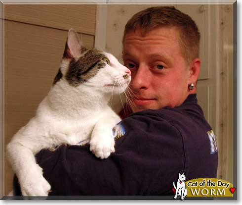 Worm, the Cat of the Day