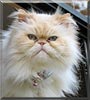 Whitey