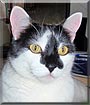 Magellan