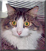 Sam