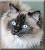 Katie