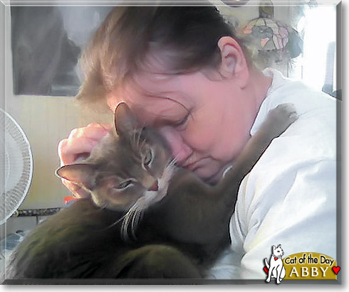 Abby, the Cat of the Day