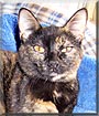 Josie
