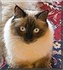 Freya