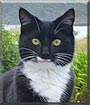 Max