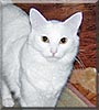 Sam