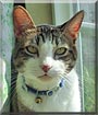 Sammy