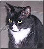 Kolya
