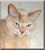 Jasper