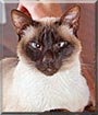Beau