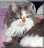 Miss Hairy