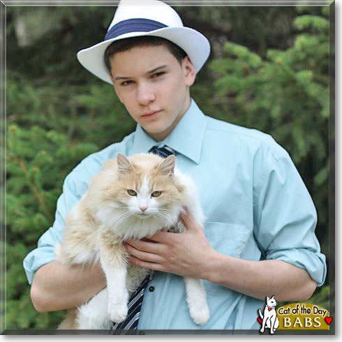 Babs, the Cat of the Day