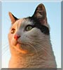 Oscar