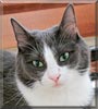 Yuki