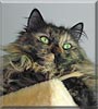 Abby