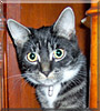 Eddy